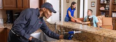 Best Termite Inspection and Treatment  in South Glens Falls, NY