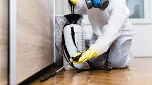 Best Fumigation Services  in South Glens Falls, NY