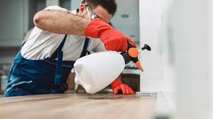 Best Pest Control for Multi-Family Homes  in South Glens Falls, NY